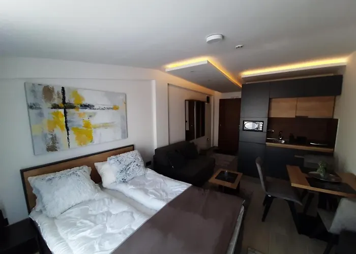 Apartament Teonalux Milmari P84 *