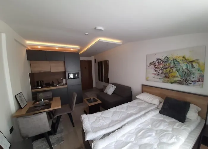 Апартаменты Teonalux Milmari P84