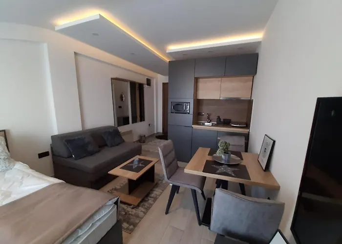 Apartament Teonalux Milmari P84 Kopaonik